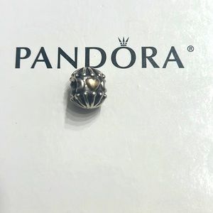 Pandora charm